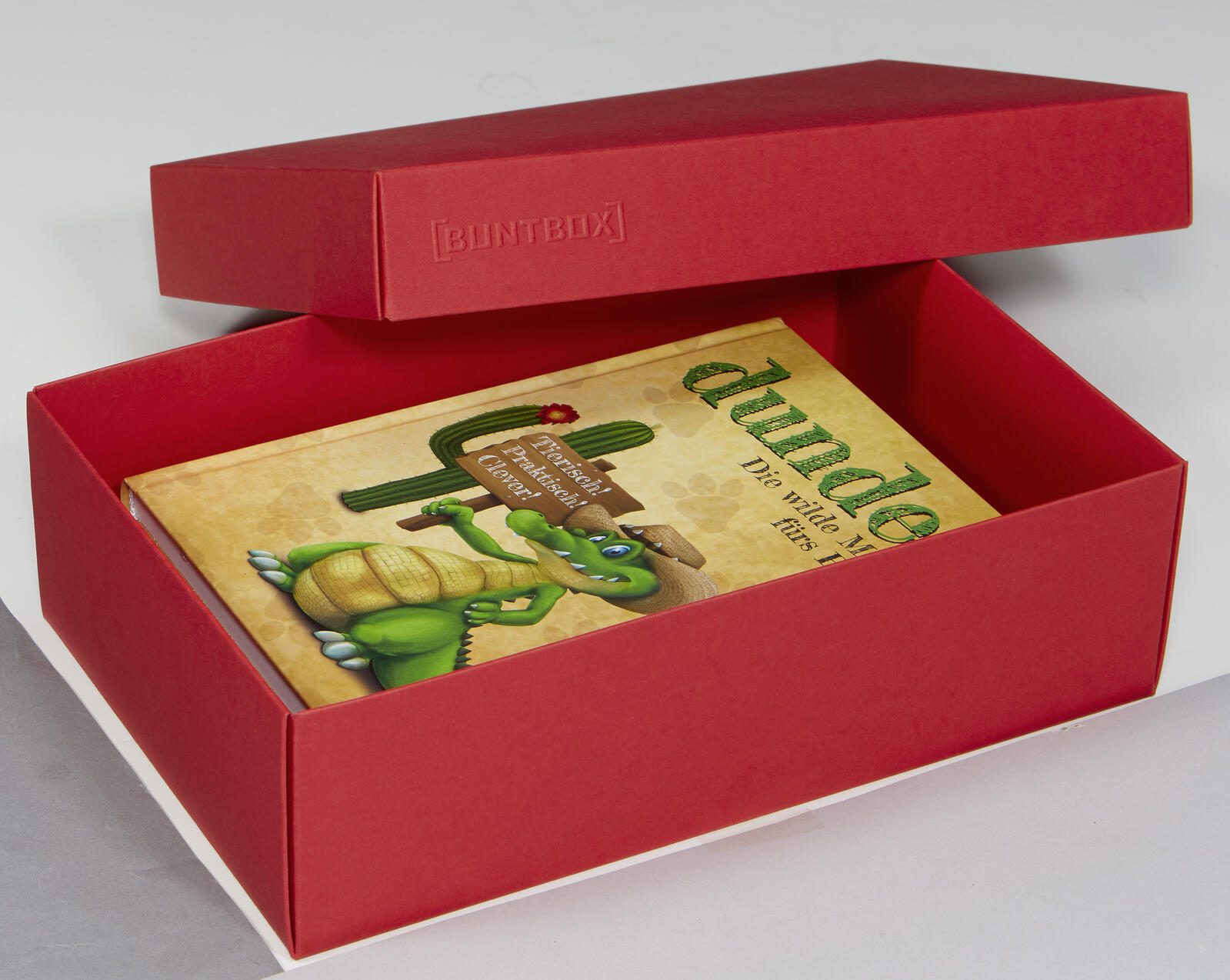 BUNTBOX Geschenkboxen L 3,6 l – 26,6 x 17,2 x 7,8 cm rot