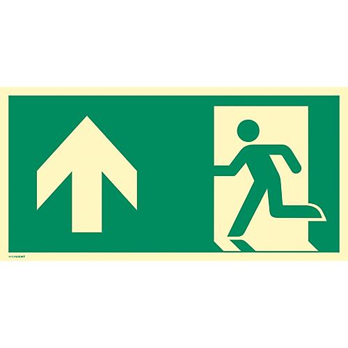 moedel Fluchtwegschild 'Notausgang links Pfeil oben', nach ISO 7010 E001, Kunststoff, langnachleuchtend, B 400 x H 200 mm