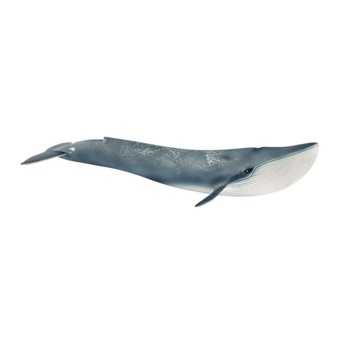 Schleich® Blauwal 14806