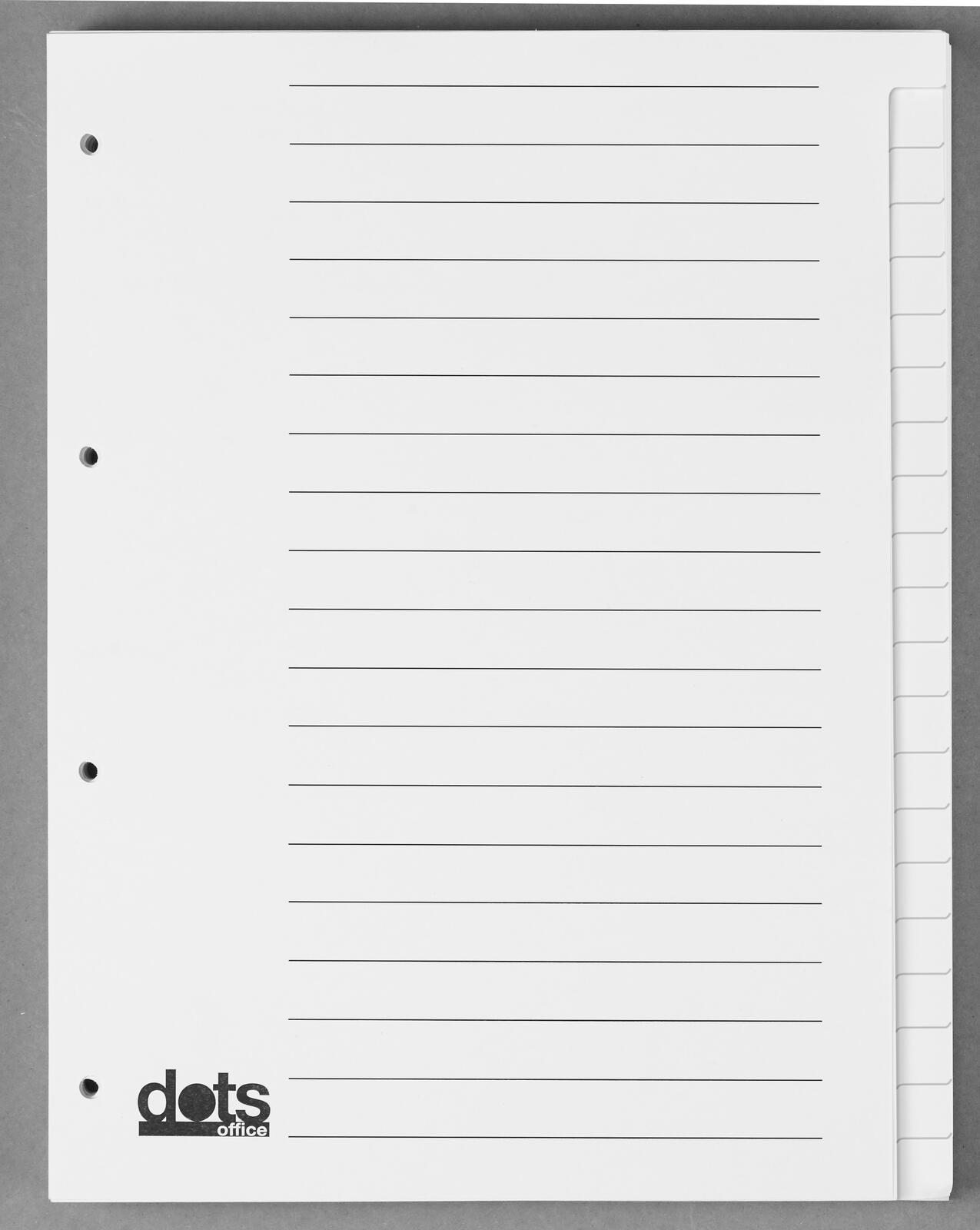 dots Ordnerregister Vollformat blanko DIN A4