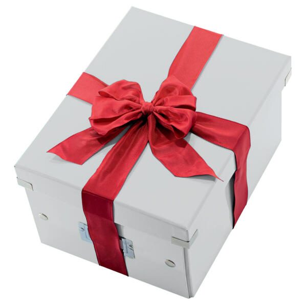 LEITZ Aufbewahrungsbox Click & Store 7,4 l – 21,6 x 28,2 x 16,0 cm weiß
