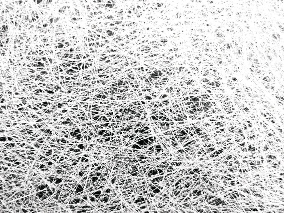 BAUFAS Spachtelvlies 50×1 m