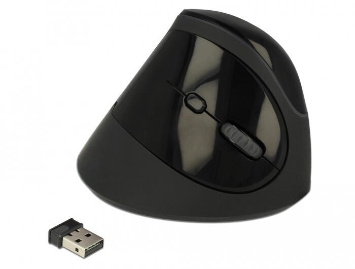 Delock Ergonomic – kabellose vertikale Maus – Schwarz