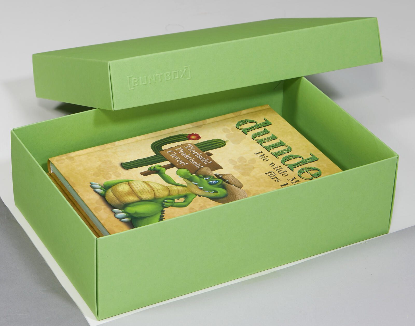 BUNTBOX Geschenkboxen L 3,6 l – 26,6 x 17,2 x 7,8 cm grün