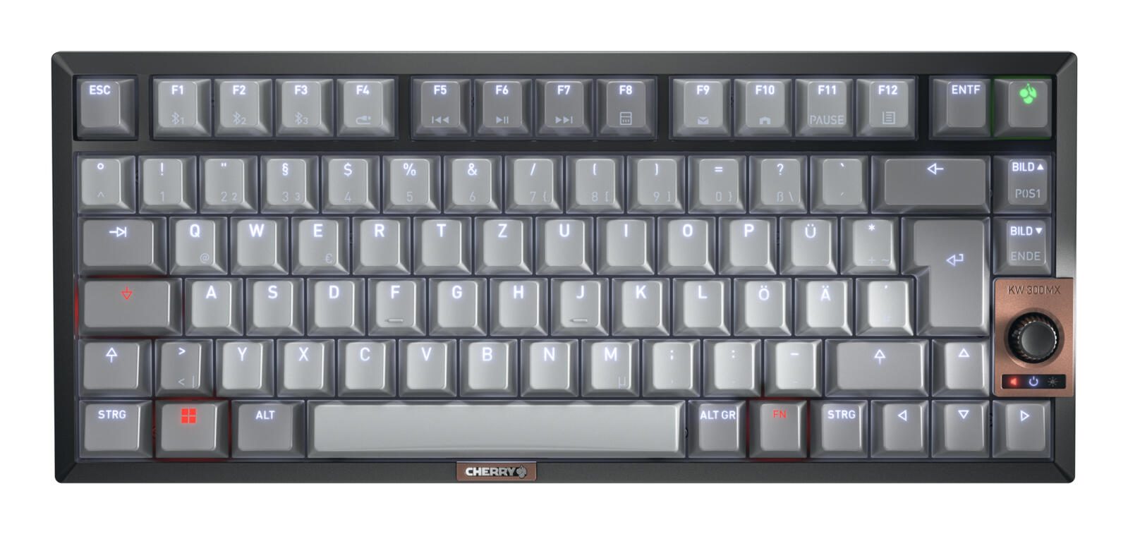CHERRY KW 300W MX