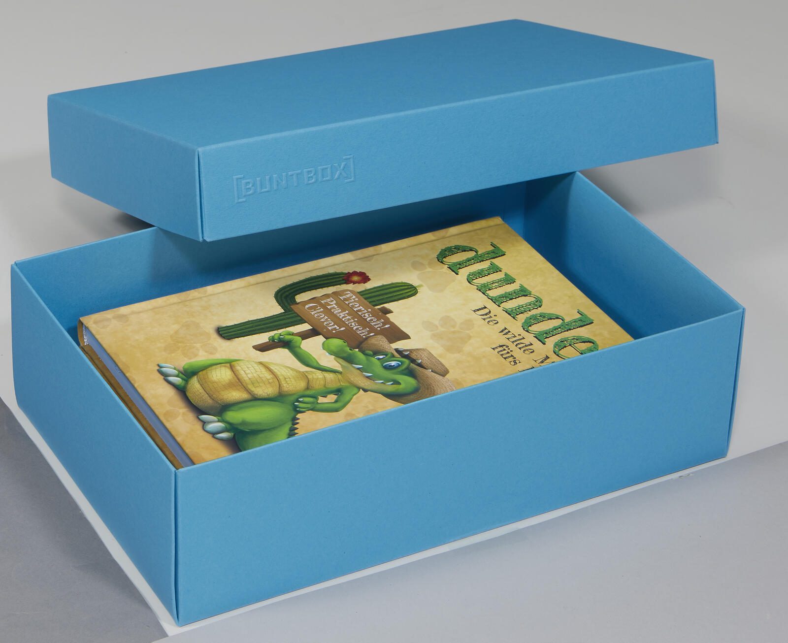 BUNTBOX Geschenkboxen L 3,6 l – 26,6 x 17,2 x 7,8 cm blau