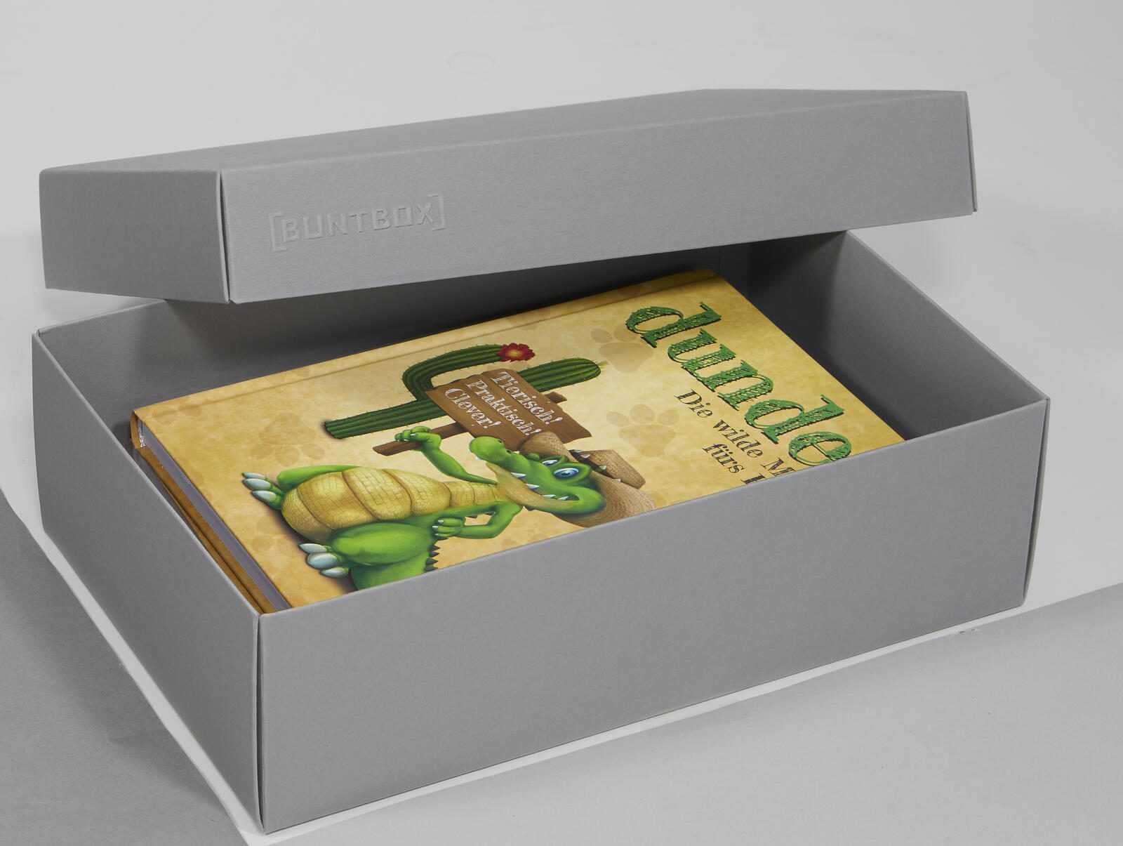 BUNTBOX Geschenkboxen L 3,6 l – 26,6 x 17,2 x 7,8 cm grau