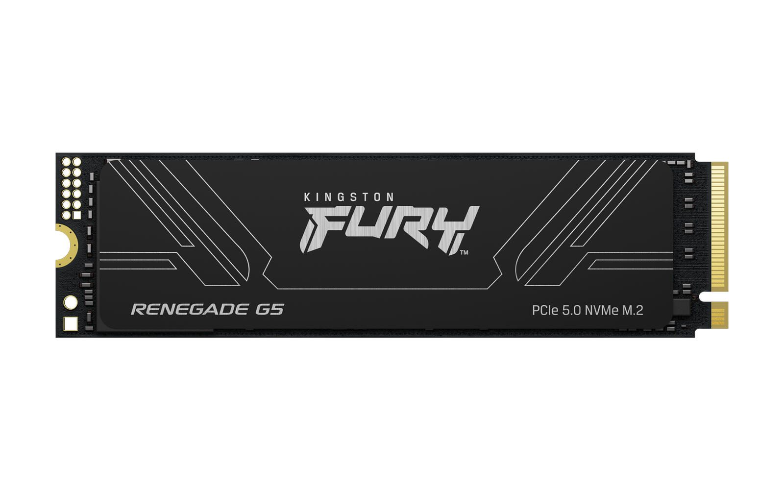Kingston FURY RENEGADE G5 M.2 SSD – 1 TB